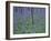 A Bluebell Wood in Sussex, England, UK-Jean Brooks-Framed Photographic Print