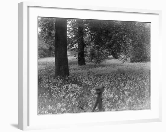 A Bluebell Wood-null-Framed Photographic Print