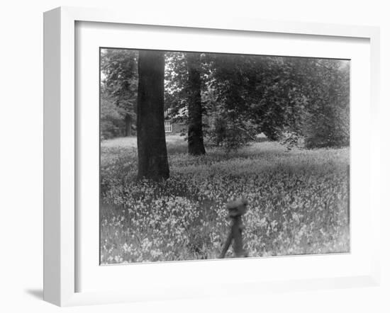 A Bluebell Wood-null-Framed Photographic Print