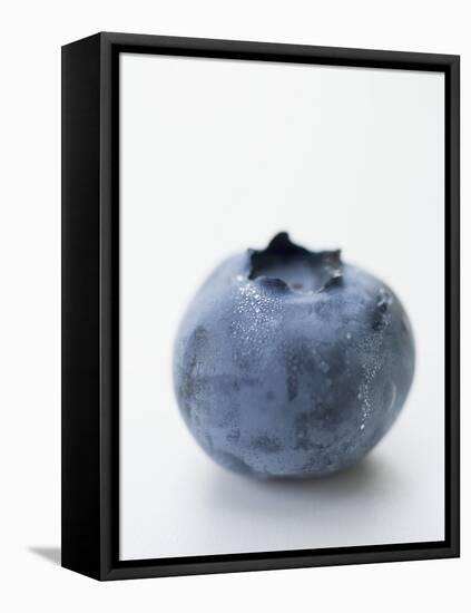 A Blueberry-null-Framed Stretched Canvas