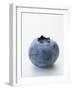 A Blueberry-null-Framed Premium Photographic Print