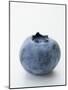 A Blueberry-null-Mounted Premium Photographic Print