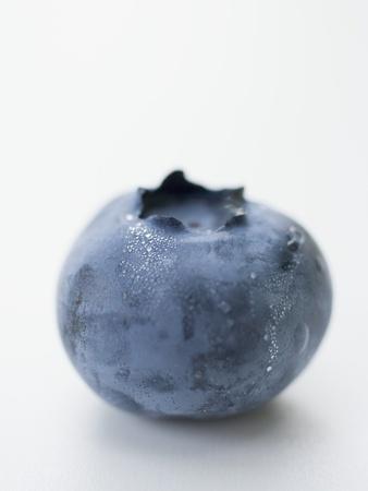 A Blueberry Photographic Print Allposters Com