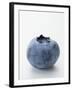 A Blueberry-null-Framed Photographic Print