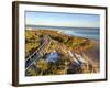 A Boardwalk Curves over the Vegetation on the Dunes in Big Lagoon State Park near Pensacola, Florid-Colin D Young-Framed Photographic Print