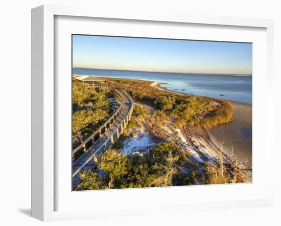 A Boardwalk Curves over the Vegetation on the Dunes in Big Lagoon State Park near Pensacola, Florid-Colin D Young-Framed Photographic Print