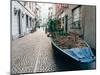 A boat filled with plants on a street in Stresa, Piedmont, Italy, Europe-Alexandre Rotenberg-Mounted Photographic Print