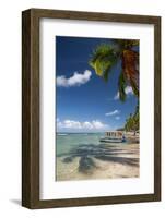 A Boat Floats Along the Sandy Praia Do Carneiros Near Tamamdere, North-Eastern Brazil-Alex Saberi-Framed Photographic Print