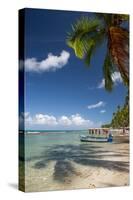 A Boat Floats Along the Sandy Praia Do Carneiros Near Tamamdere, North-Eastern Brazil-Alex Saberi-Stretched Canvas