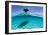 A Boat Is Anchored in the Clear Blue Tropical Waters Off Staniel Cay, Exuma, Bahamas-James White-Framed Photographic Print