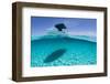 A Boat Is Anchored in the Clear Blue Tropical Waters Off Staniel Cay, Exuma, Bahamas-James White-Framed Photographic Print