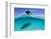 A Boat Is Anchored in the Clear Blue Tropical Waters Off Staniel Cay, Exuma, Bahamas-James White-Framed Photographic Print