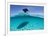 A Boat Is Anchored in the Clear Blue Tropical Waters Off Staniel Cay, Exuma, Bahamas-James White-Framed Photographic Print