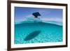 A Boat Is Anchored in the Clear Blue Tropical Waters Off Staniel Cay, Exuma, Bahamas-James White-Framed Photographic Print