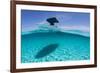 A Boat Is Anchored in the Clear Blue Tropical Waters Off Staniel Cay, Exuma, Bahamas-James White-Framed Photographic Print