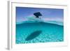 A Boat Is Anchored in the Clear Blue Tropical Waters Off Staniel Cay, Exuma, Bahamas-James White-Framed Photographic Print