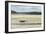 A Boat Moored at Low Tide in the River Camel Estuary at Padstow Cornwall UK-Julian Eales-Framed Photographic Print