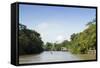 A Boat on an Igarape (Flooded Creek) in the Brazilian Amazon Near Belem, Para, Brazil-Alex Robinson-Framed Stretched Canvas