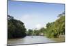 A Boat on an Igarape (Flooded Creek) in the Brazilian Amazon Near Belem, Para, Brazil-Alex Robinson-Mounted Photographic Print