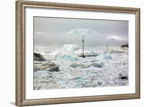 A Boat Sailing on the Pack Ice, Disko Bay, Ilulissat, Groenland-Françoise Gaujour-Framed Photographic Print