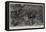 A Boer Cavalry Charge, the Fight at Brakenlaagte-John Charlton-Framed Stretched Canvas