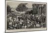 A Boer Leader's Funeral at Pretoria-null-Mounted Giclee Print