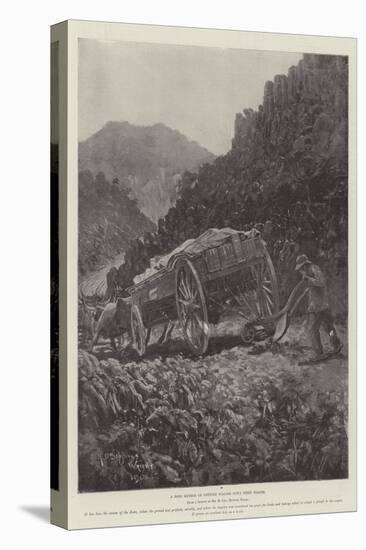 A Boer Method of Getting Wagons Down Steep Places-Henry Charles Seppings Wright-Stretched Canvas