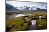 A Bog Lies across the Way from Mt. Sunchuli and Reflects the Peaks of the Apolobamba Range, Bolivia-Sergio Ballivian-Mounted Photographic Print