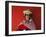 A Bolivian Kallawaya-null-Framed Photographic Print