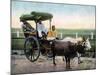 A Bombay Reckla, India, Early 20th Century-null-Mounted Giclee Print