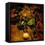 A Bonsai Pear Tree with Two Fruit Against a Rich, Gold Craquelure Background-Trigger Image-Framed Stretched Canvas