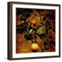 A Bonsai Pear Tree with Two Fruit Against a Rich, Gold Craquelure Background-Trigger Image-Framed Photographic Print