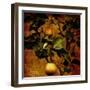 A Bonsai Pear Tree with Two Fruit Against a Rich, Gold Craquelure Background-Trigger Image-Framed Photographic Print