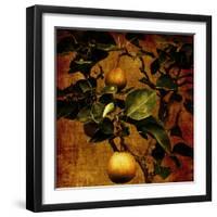 A Bonsai Pear Tree with Two Fruit Against a Rich, Gold Craquelure Background-Trigger Image-Framed Photographic Print