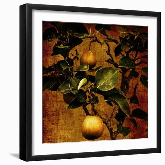 A Bonsai Pear Tree with Two Fruit Against a Rich, Gold Craquelure Background-Trigger Image-Framed Photographic Print