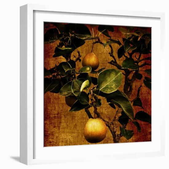 A Bonsai Pear Tree with Two Fruit Against a Rich, Gold Craquelure Background-Trigger Image-Framed Photographic Print