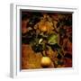 A Bonsai Pear Tree with Two Fruit Against a Rich, Gold Craquelure Background-Trigger Image-Framed Photographic Print