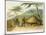 A Boosh-Wannah Hut Plate 7 from "African Scenery and Animals"-Samuel Daniell-Mounted Giclee Print