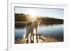 A Border Collie Looks Out over a Lake During an Autumn Sunrise in Eastern Pennsylvania-Vince M. Camiolo-Framed Photographic Print