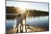 A Border Collie Looks Out over a Lake During an Autumn Sunrise in Eastern Pennsylvania-Vince M. Camiolo-Mounted Photographic Print