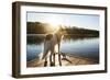 A Border Collie Looks Out over a Lake During an Autumn Sunrise in Eastern Pennsylvania-Vince M. Camiolo-Framed Photographic Print