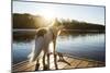 A Border Collie Looks Out over a Lake During an Autumn Sunrise in Eastern Pennsylvania-Vince M. Camiolo-Mounted Photographic Print