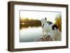 A Border Collie Looks Out over a Lake During an Autumn Sunrise in Eastern Pennsylvania-Vince M. Camiolo-Framed Photographic Print