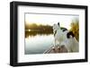 A Border Collie Looks Out over a Lake During an Autumn Sunrise in Eastern Pennsylvania-Vince M. Camiolo-Framed Photographic Print