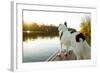 A Border Collie Looks Out over a Lake During an Autumn Sunrise in Eastern Pennsylvania-Vince M. Camiolo-Framed Photographic Print