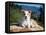 A Border Collie Puppy Lying on a Huge Sandstone Boulder in a Park with the Santa Ynez Mountains-Zandria Muench Beraldo-Framed Stretched Canvas