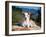 A Border Collie Puppy Lying on a Huge Sandstone Boulder in a Park with the Santa Ynez Mountains-Zandria Muench Beraldo-Framed Photographic Print