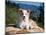 A Border Collie Puppy Lying on a Huge Sandstone Boulder in a Park with the Santa Ynez Mountains-Zandria Muench Beraldo-Mounted Photographic Print