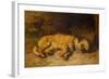 A Border Terrier Puppy, 1884 (Oil on Canvas)-Philip Eustace Stretton-Framed Giclee Print