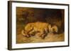 A Border Terrier Puppy, 1884 (Oil on Canvas)-Philip Eustace Stretton-Framed Giclee Print